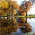 Herbstsonntag am Schloßteich