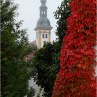 Herbstsonntag