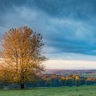 Herbstsonntag