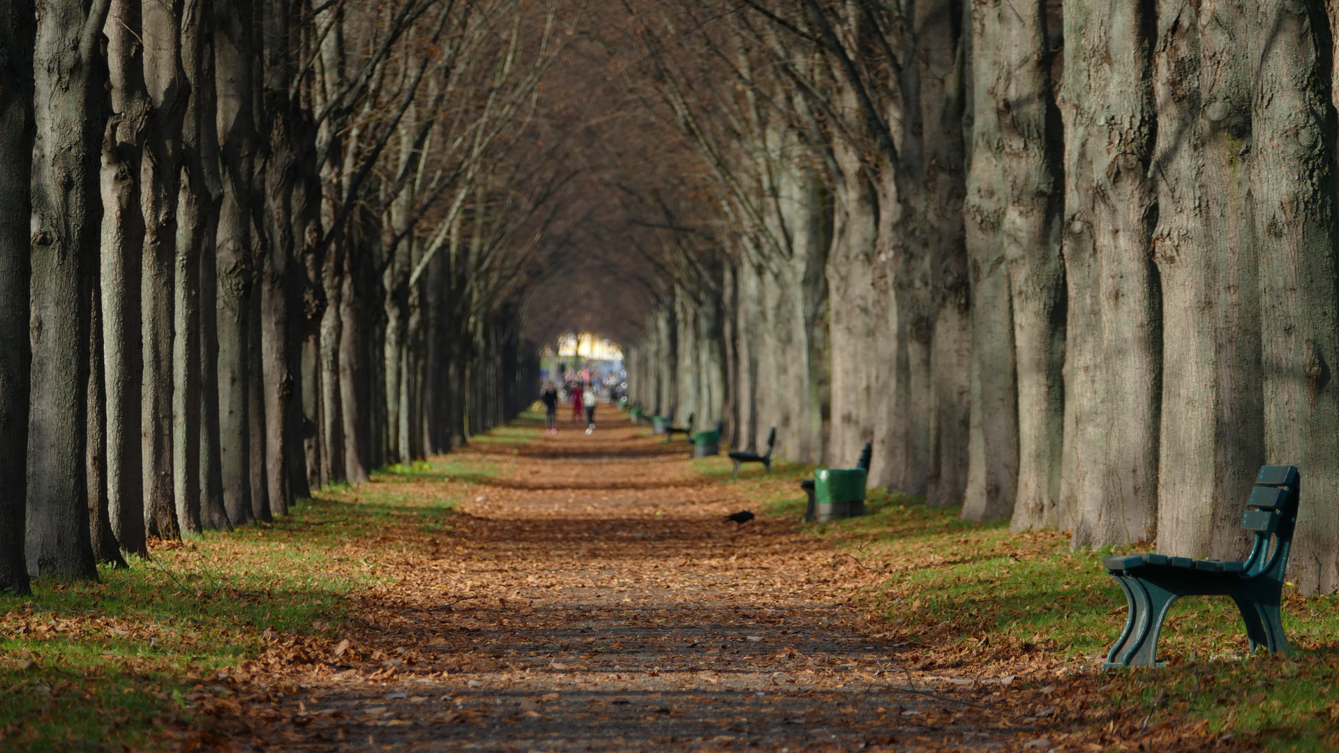 Herbstsonntag im Georgengarten