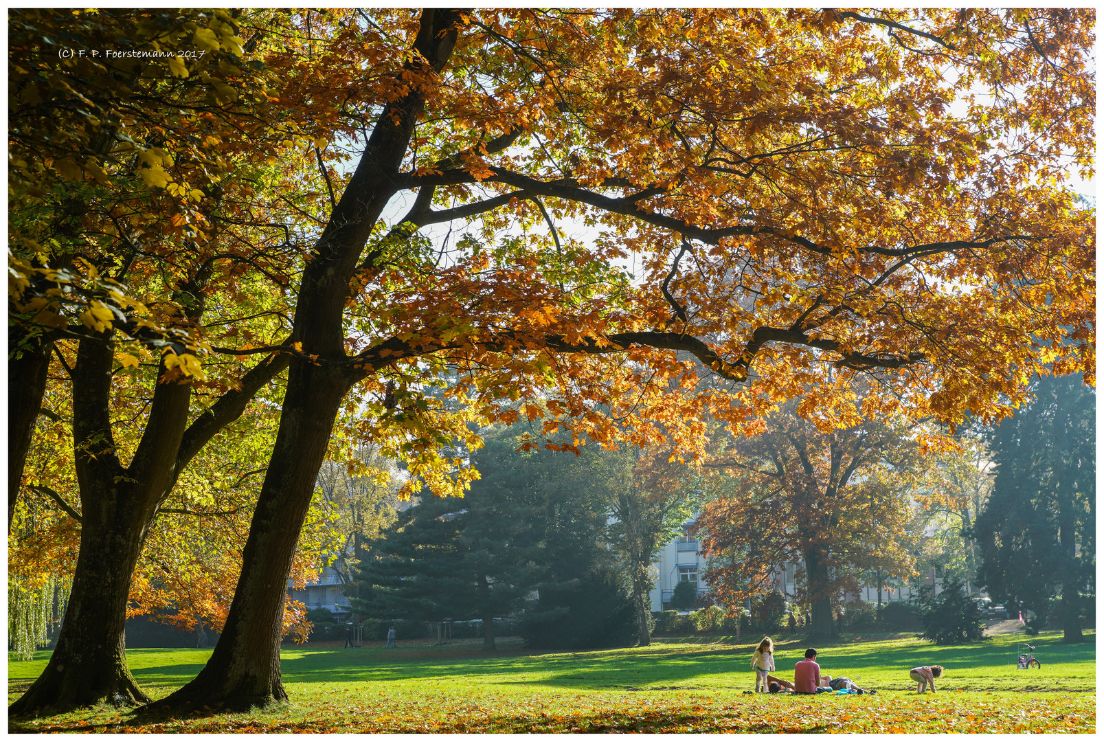 Herbstsonntag im Park