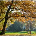 Herbstsonntag im Park