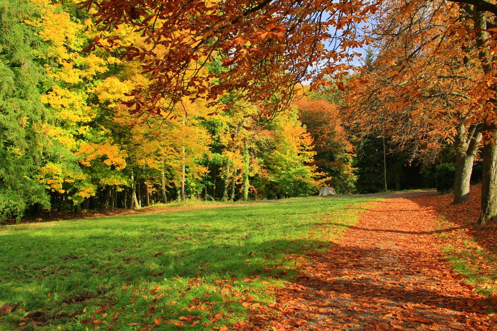 Herbstsonntag im Park Wechselburg