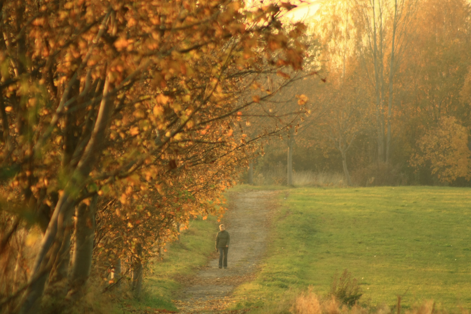 Herbstsonntagsnachmittagsspaziergang