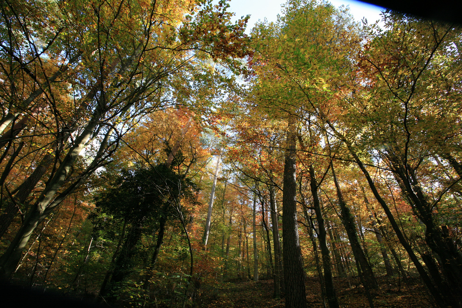 herbst..soweit der himmel reicht