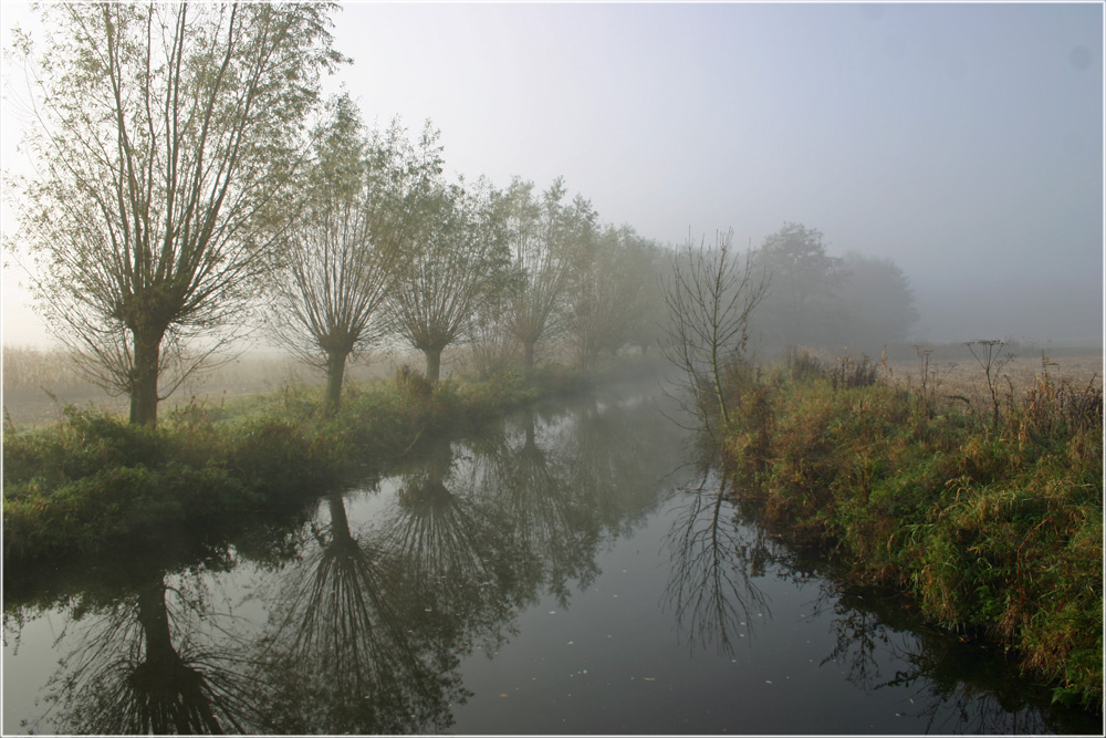 Herbstsparziergang II