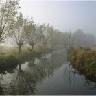 Herbstsparziergang II