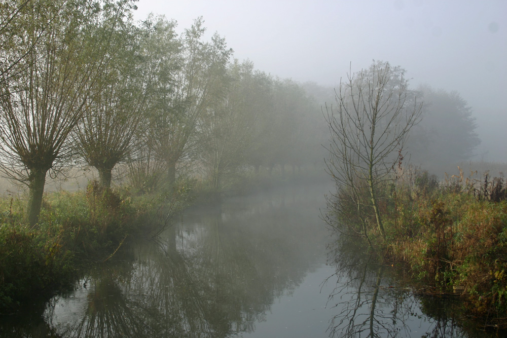 Herbstsparziergang III