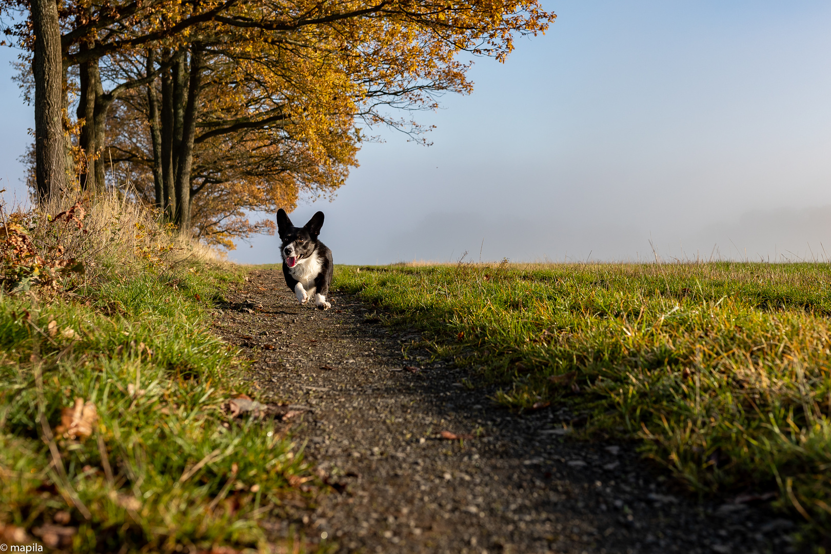 ——— Herbstspaß ———