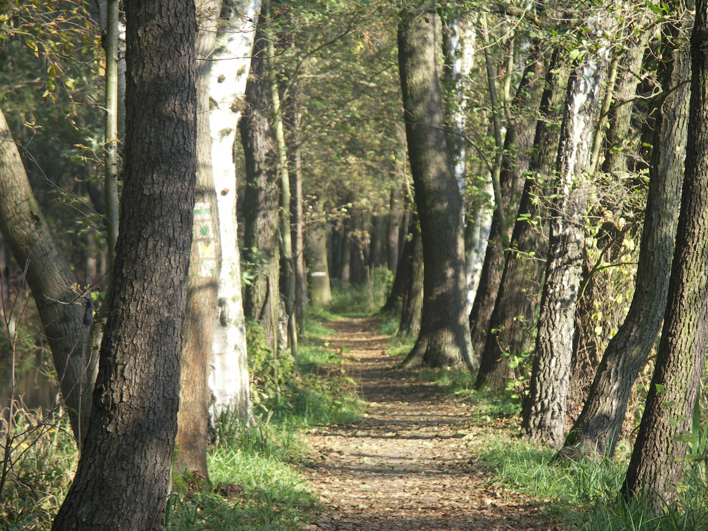 herbstspatziergang