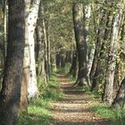 herbstspatziergang