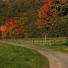 Herbstspatziergang