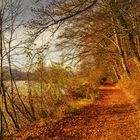 Herbstspatziergang am Gübsensee