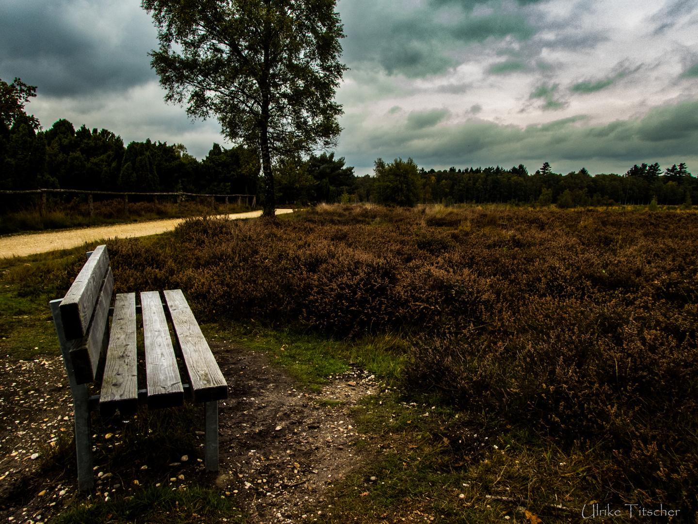 Herbstspaziegang in der Wacholderheide