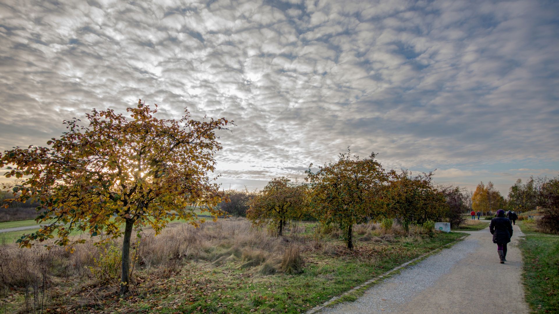 Herbstspaziergang 