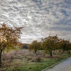 Herbstspaziergang 