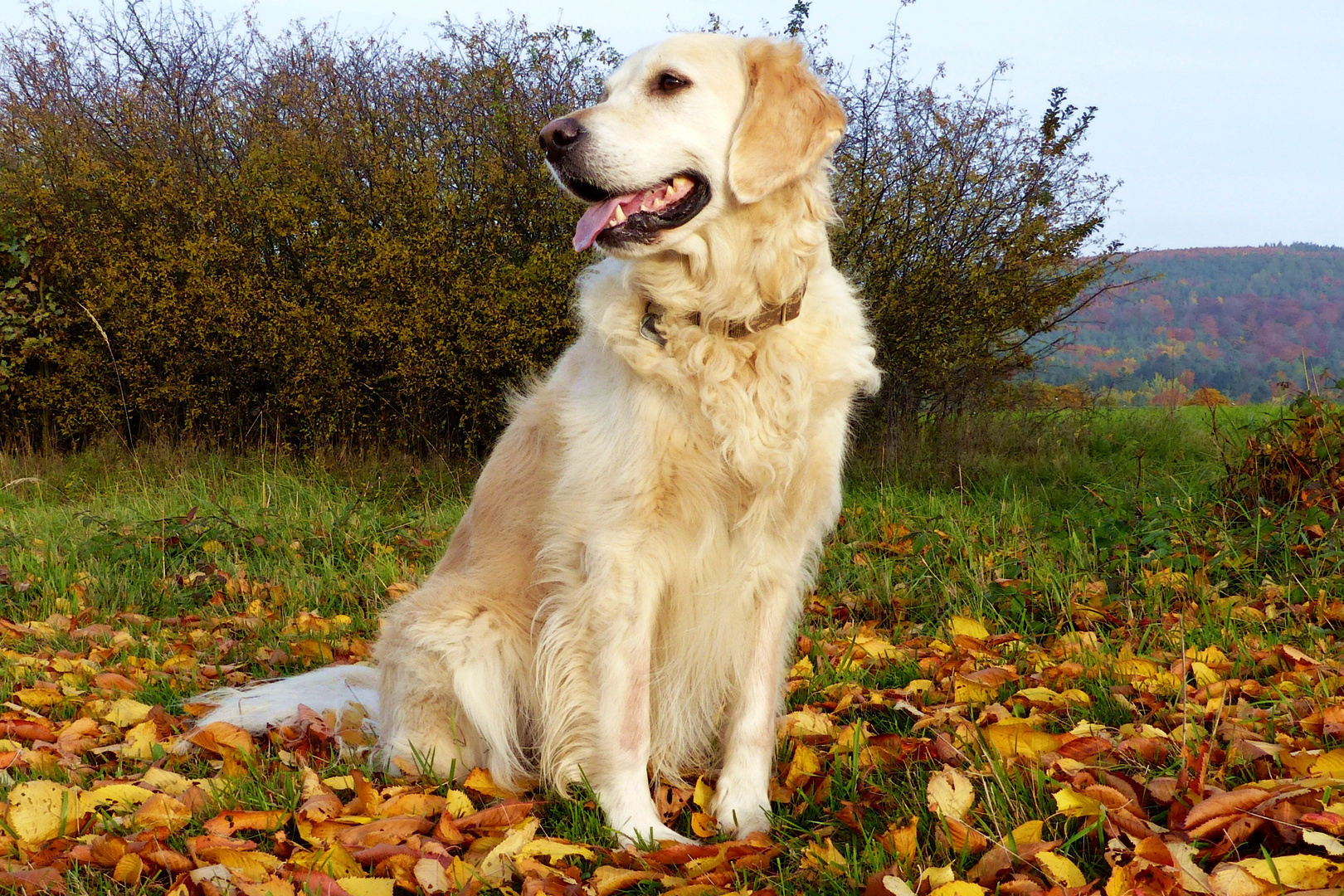 Herbstspaziergang