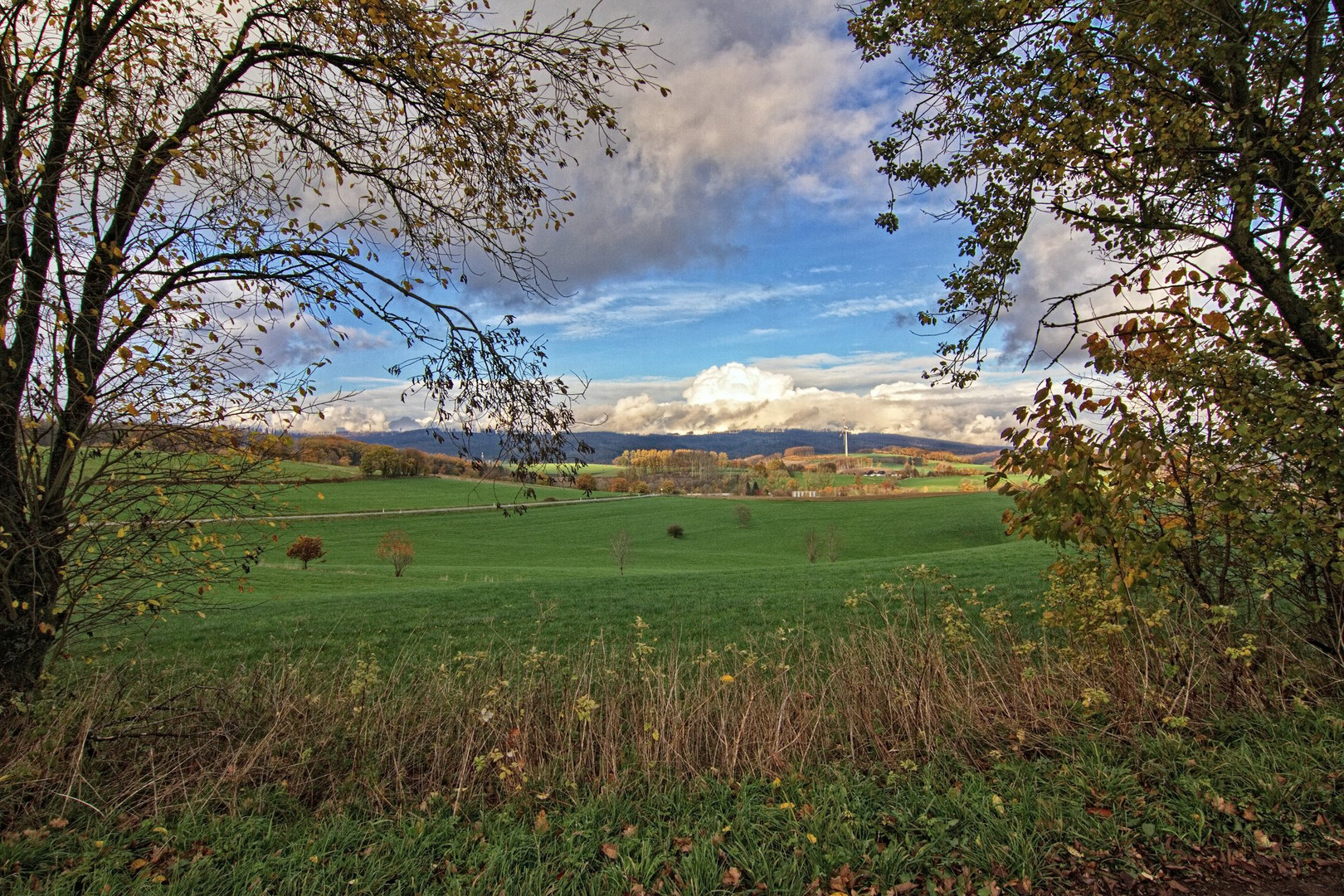 Herbstspaziergang 02