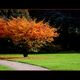 Natur