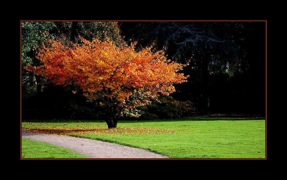 Herbstspaziergang 02