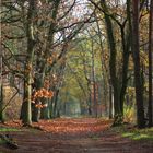 Herbstspaziergang