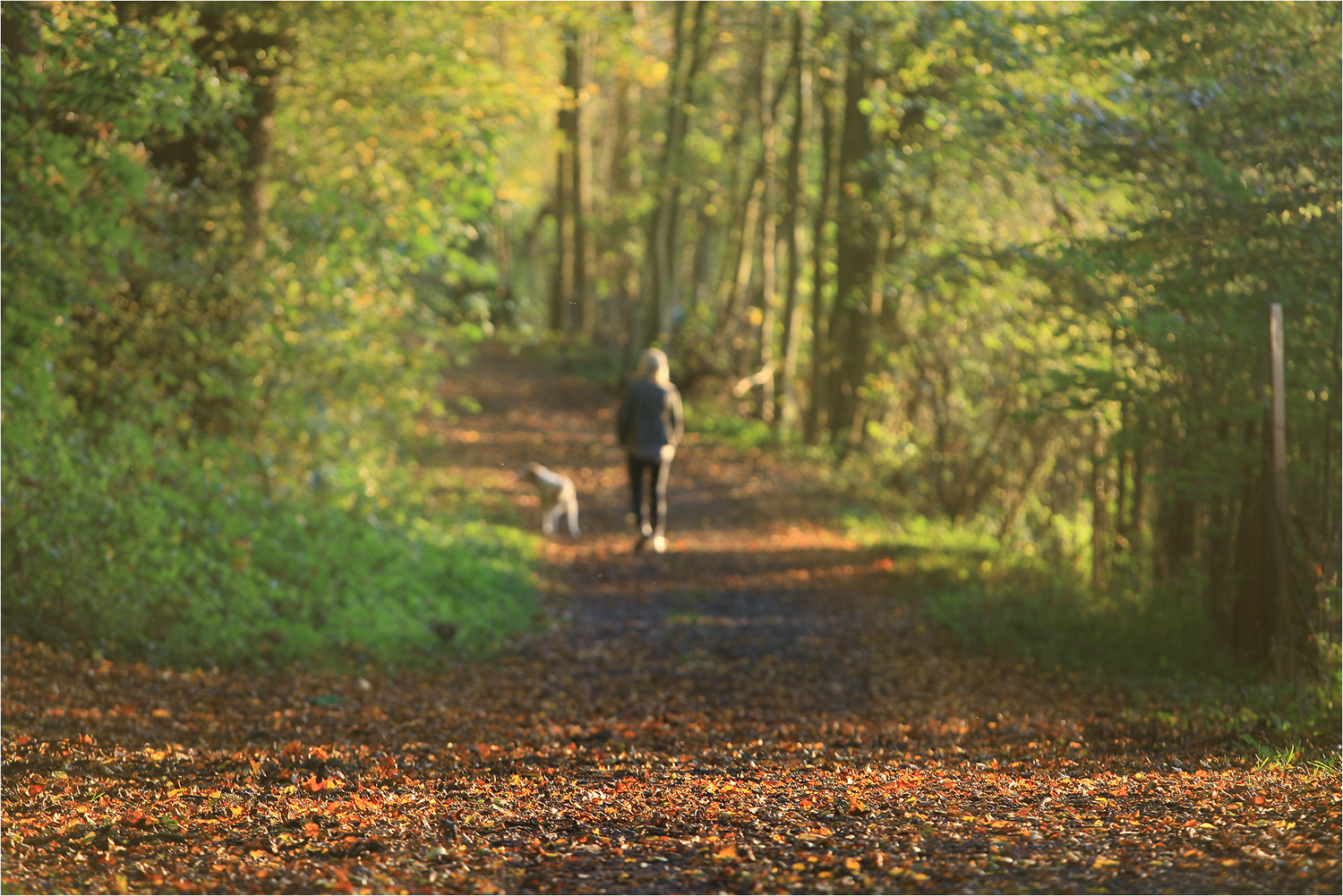 Herbstspaziergang