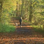 Herbstspaziergang