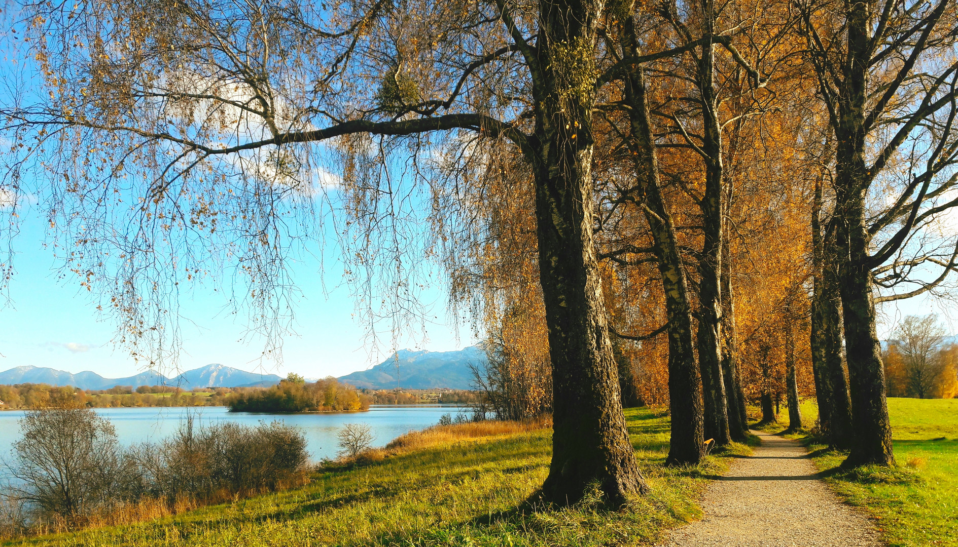 herbstspaziergang