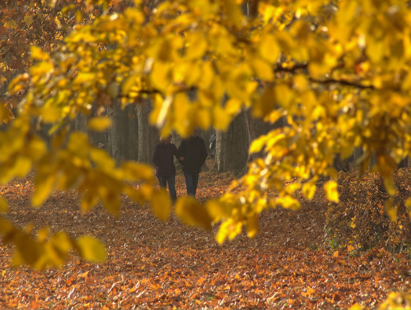 Herbstspaziergang