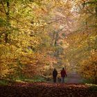 Herbstspaziergang