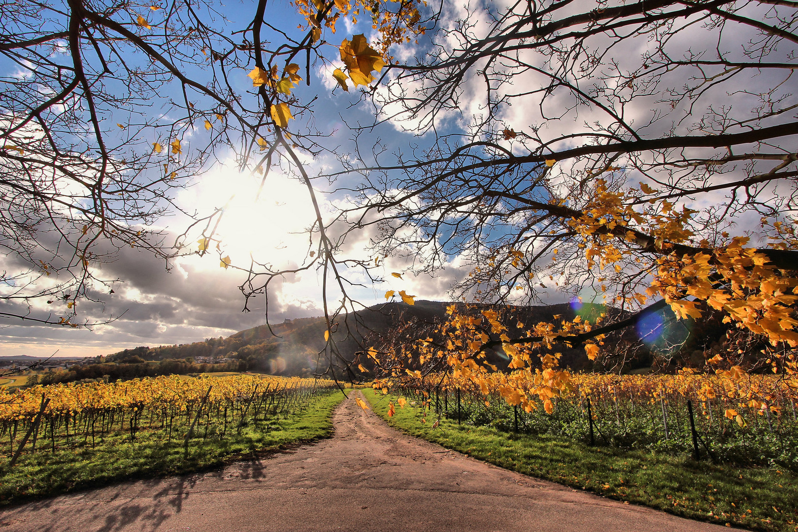 Herbstspaziergang