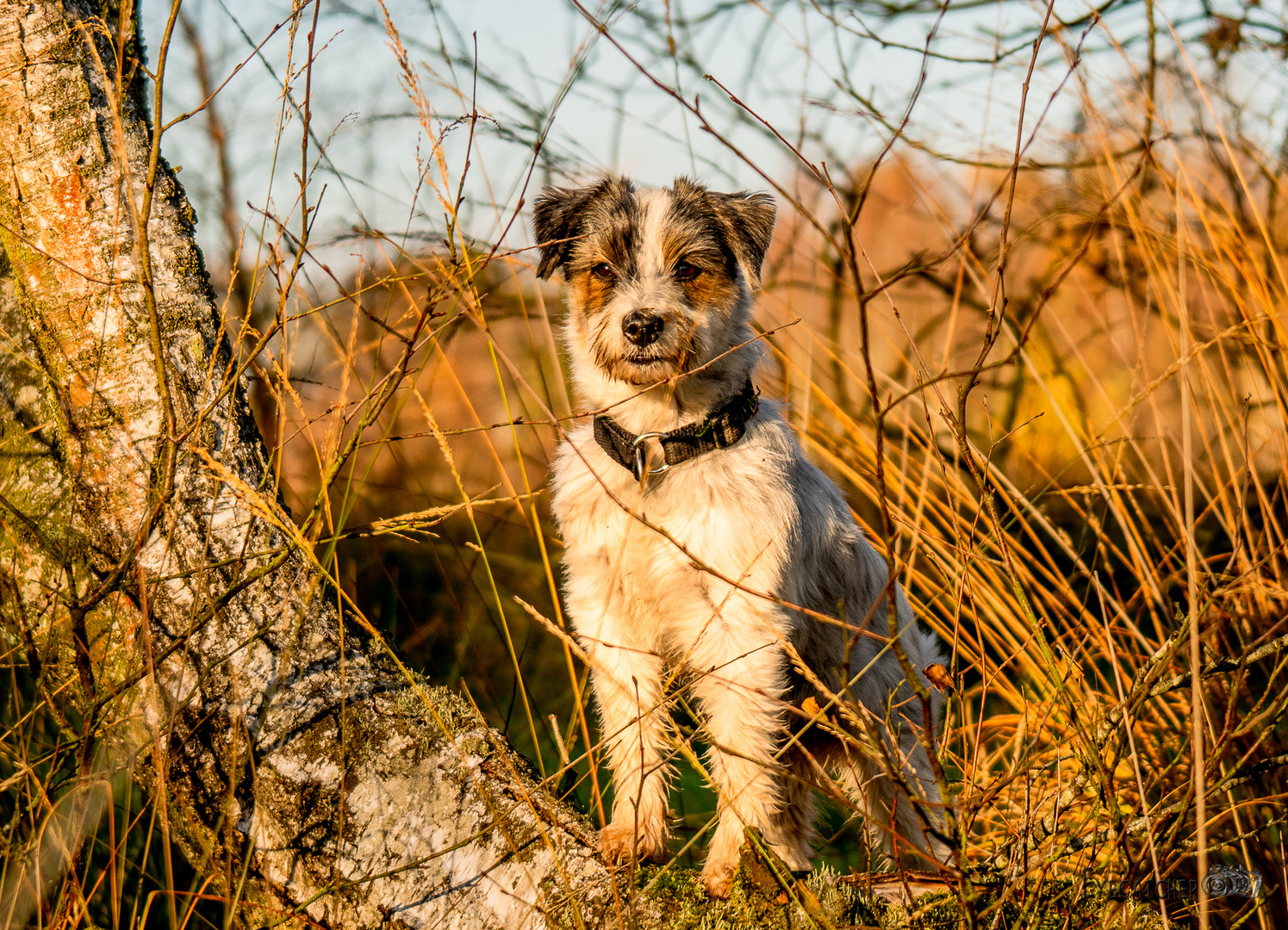 Herbstspaziergang