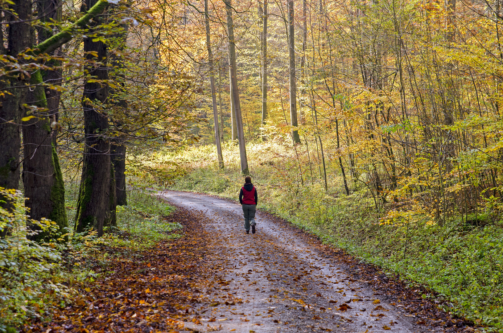 Herbstspaziergang