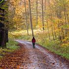 Herbstspaziergang