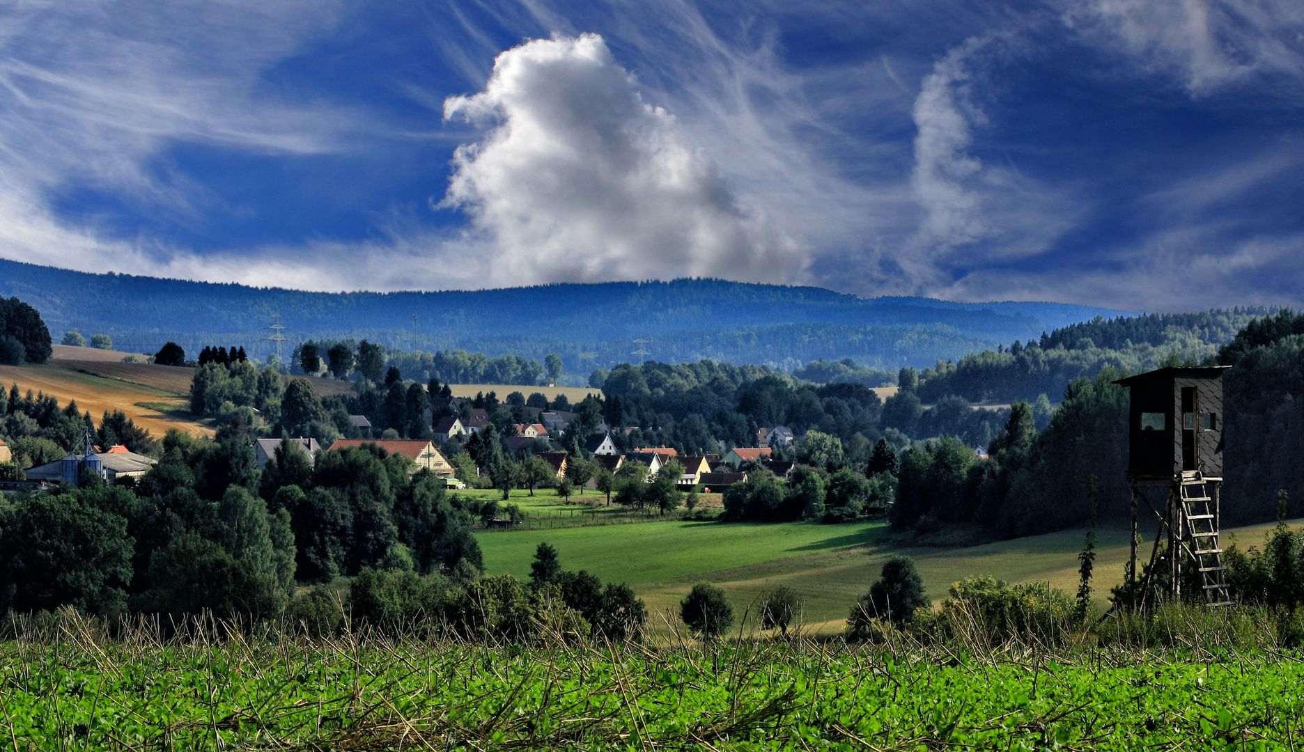 herbstspaziergang