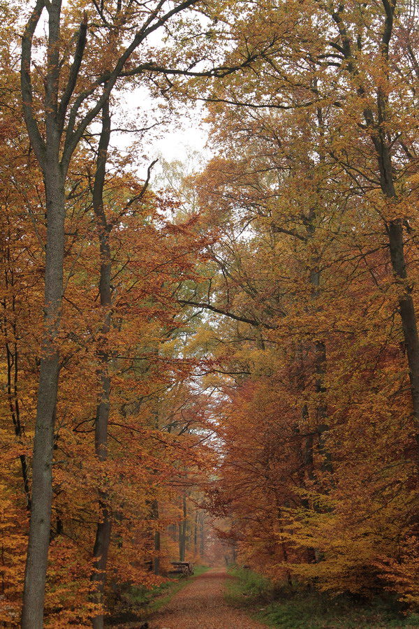 Herbstspaziergang