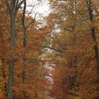 Herbstspaziergang