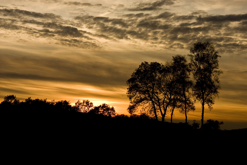 Herbstspaziergang