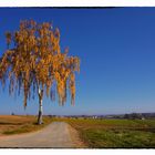 Herbstspaziergang