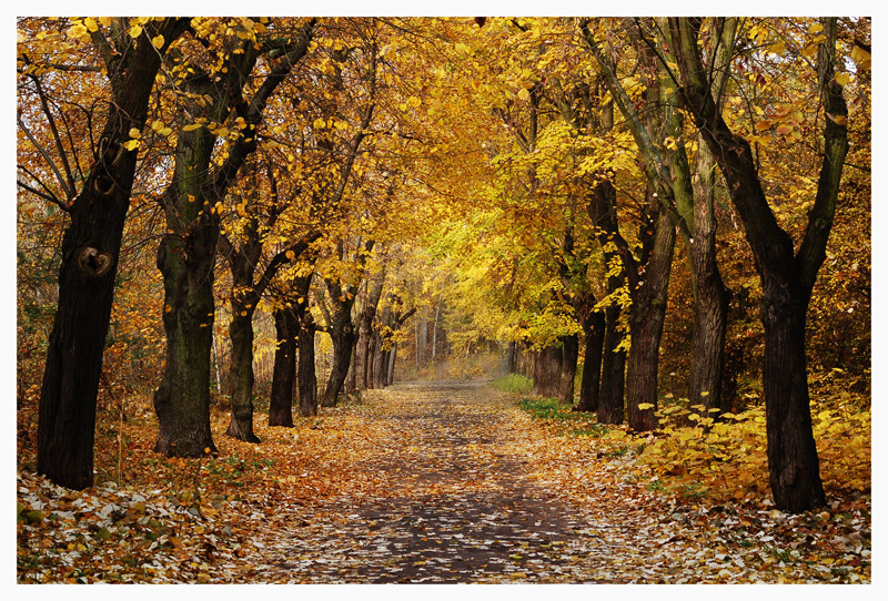 Herbstspaziergang