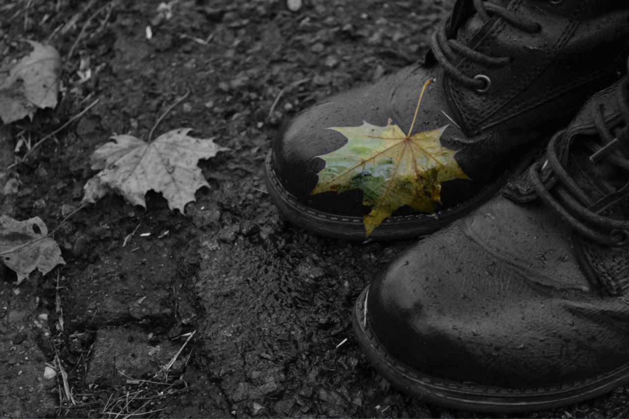 Herbstspaziergang