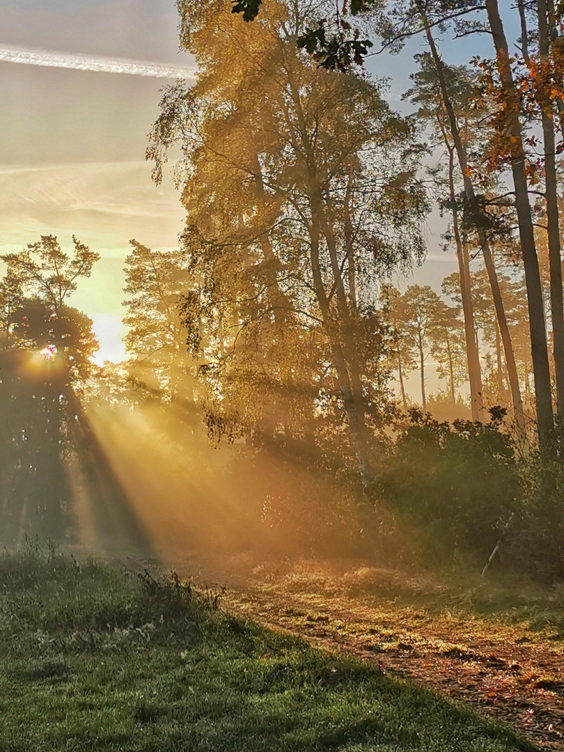 Herbstspaziergang