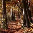 Herbstspaziergang