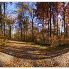 Herbstspaziergang