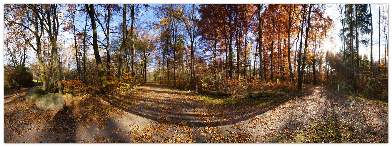 Herbstspaziergang