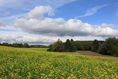 Herbstspaziergang