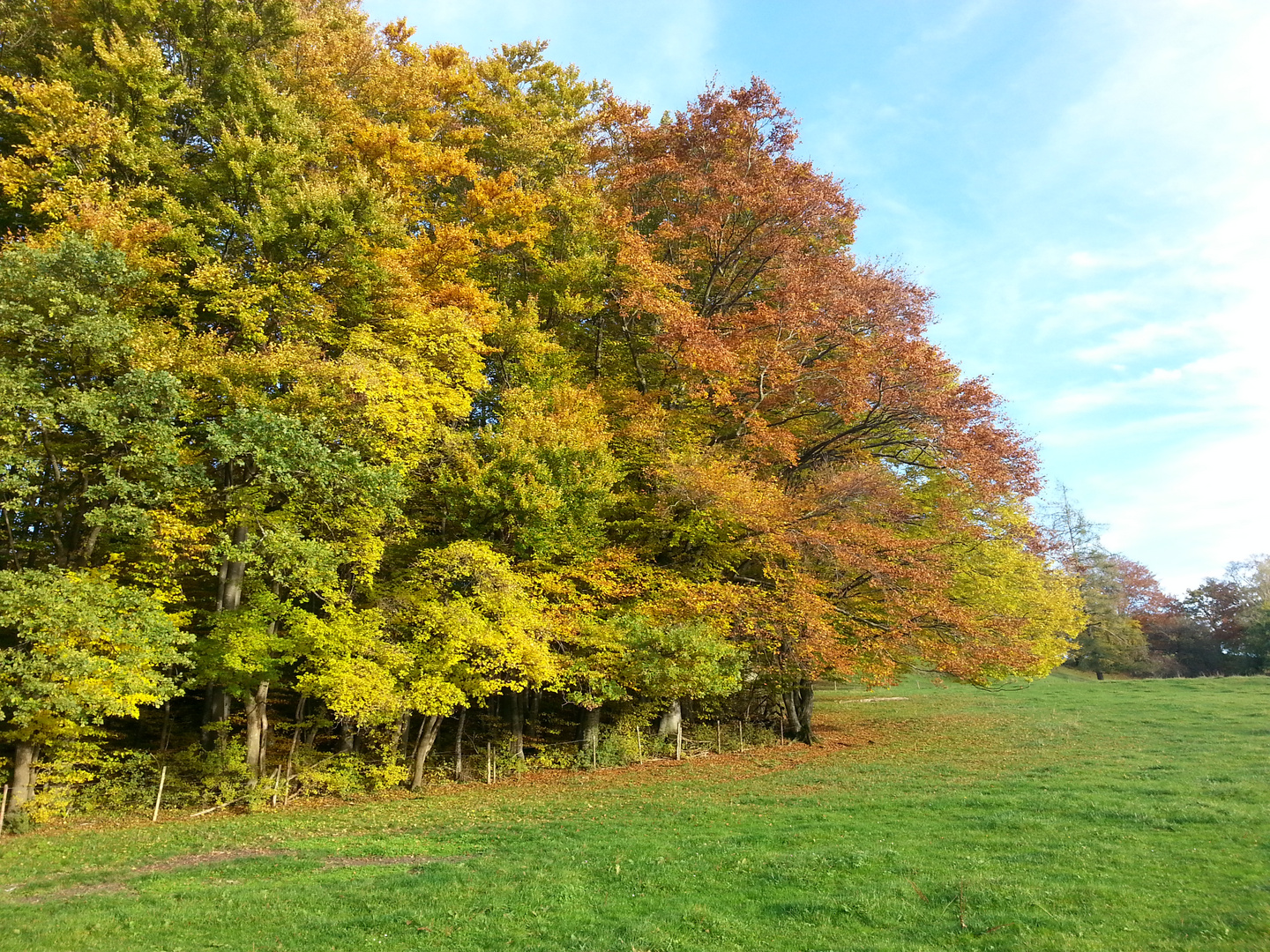 Herbstspaziergang