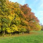 Herbstspaziergang