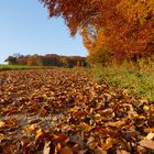 Herbstspaziergang