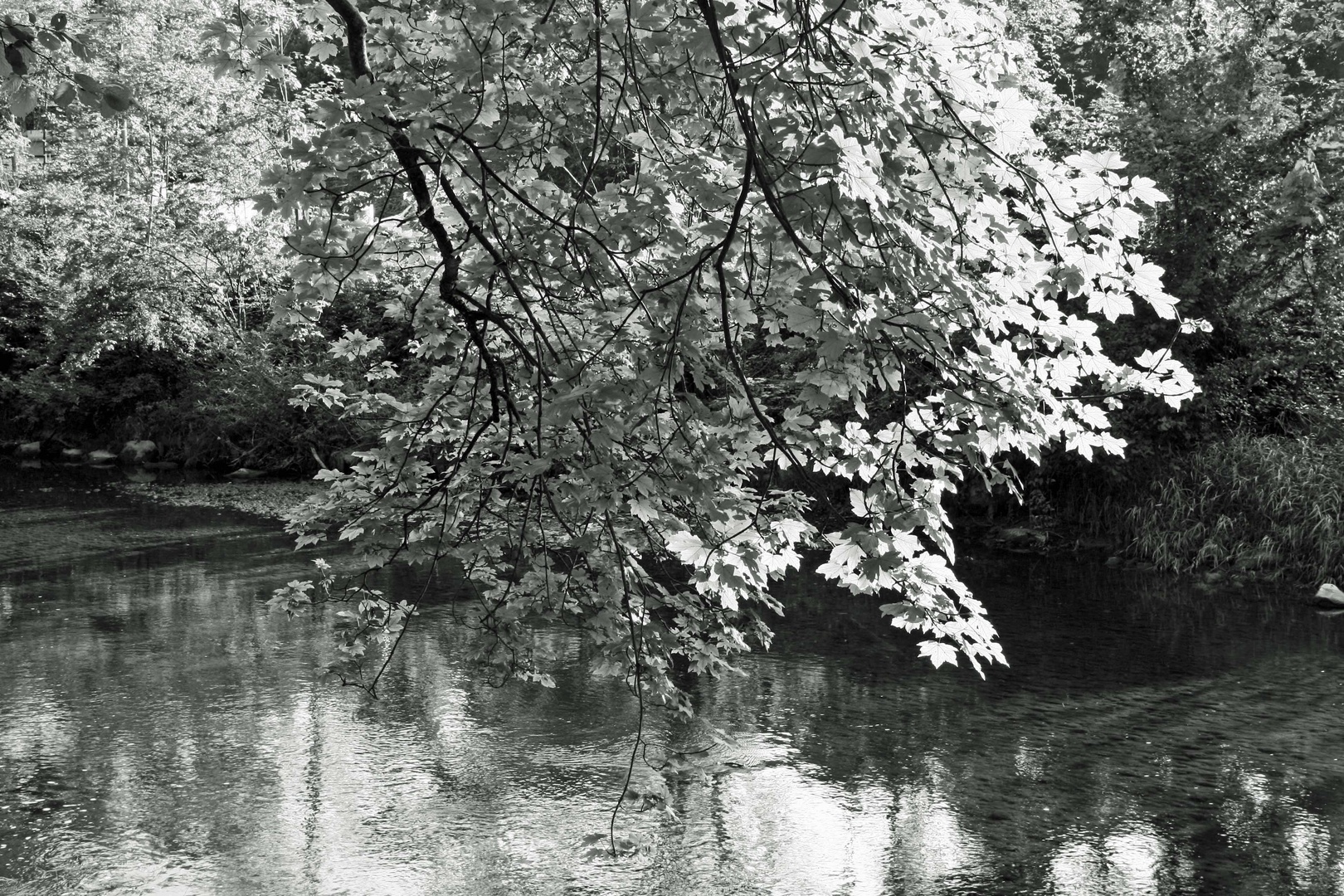 Herbstspaziergang